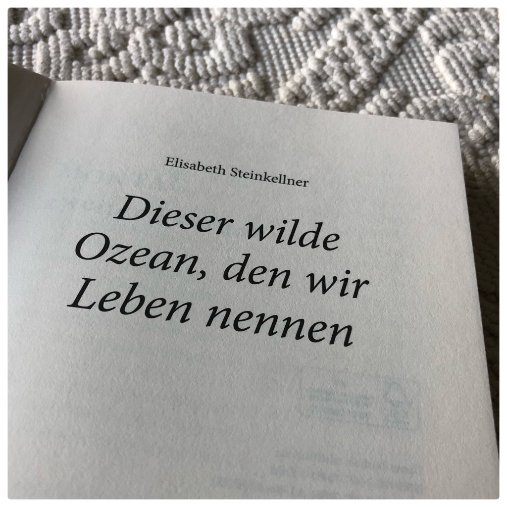 Dieser wilde Ozean, den wir Leben nennen von Elisabeth&nbsp;Steinkellner