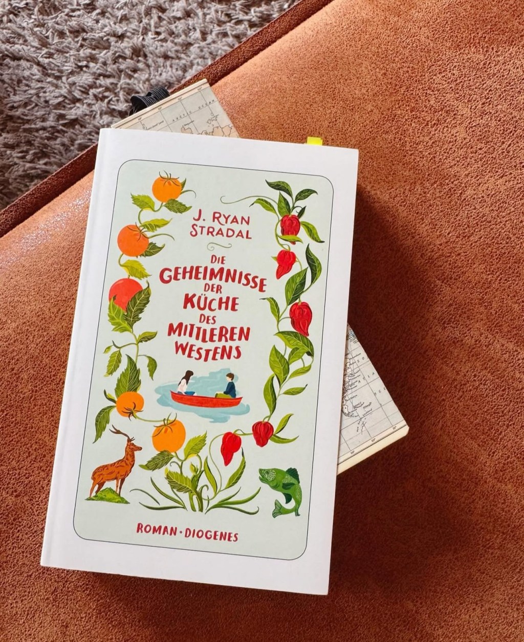 Die Geheimnisse des mittleren Westens von J.Ryan&nbsp;Stradal